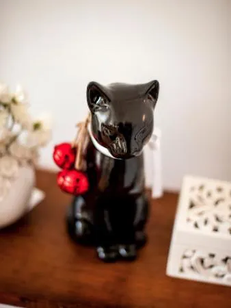 The Black Kitten Ii カルダス・ダ・ライーニャ
